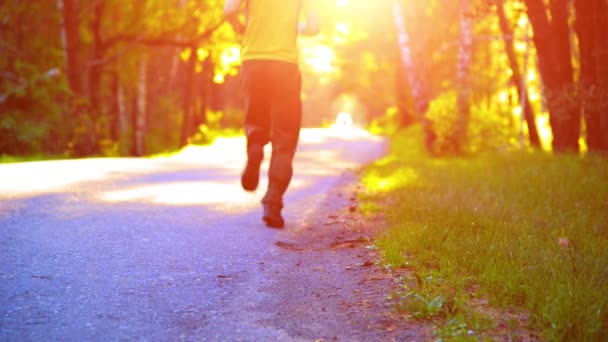 Homme de sport qui court sur la route asphaltée. Parc urbain rural. Forêt d'arbres verts et rayons du soleil à l'horizon. — Video