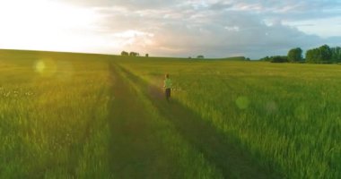 Sportif çocuk yeşil buğday tarlasında koşuyor. Kırsal çayırlarda akşam sporu alıştırmaları. Mutlu bir çocukluk sağlıklı bir yaşam biçimidir. Radikal hareket, güneş ışınları ve ot.