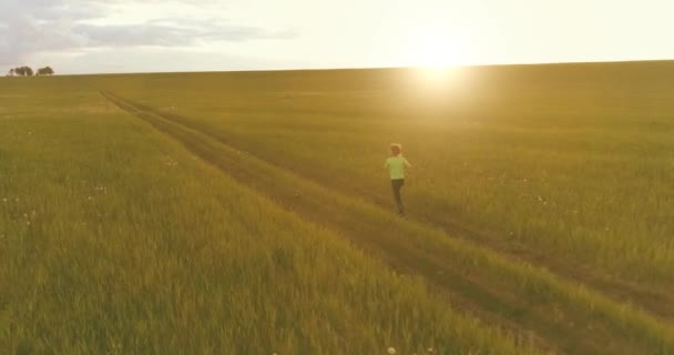 Sportief kind loopt door een groen tarweveld. Avond sport training oefeningen op het platteland weide. Een gelukkige jeugd is een gezonde manier van leven. Radiale beweging, zonnestralen en gras. — Stockvideo