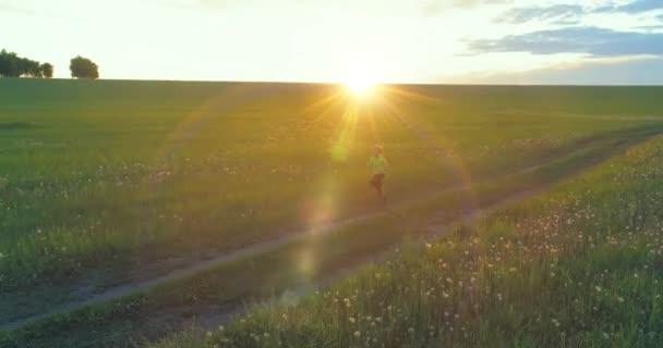 A criança desportiva atravessa um campo de trigo verde. Exercícios de treino desportivo nocturno no prado rural. Uma infância feliz é um modo de vida saudável. Movimento radial, raios de sol e grama. — Vídeo de Stock