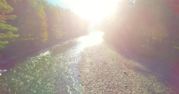 Voo de baixa altitude sobre o rio de montanha rápido fresco com rochas na manhã de verão ensolarada. — Vídeo de Stock