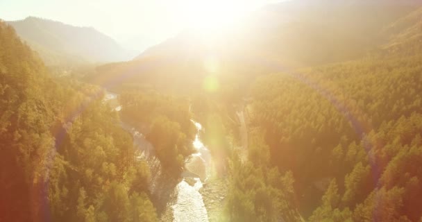 Volo a bassa quota sul fresco fiume di montagna veloce con rocce al soleggiato mattino d'estate. — Video Stock