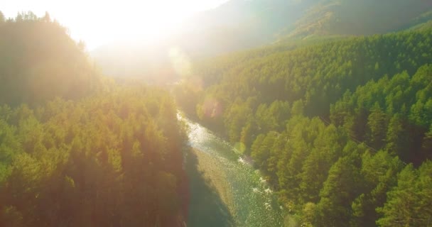 夏日阳光明媚的早晨，低空飞行在布满岩石的新鲜的高山河流上. — 图库视频影像