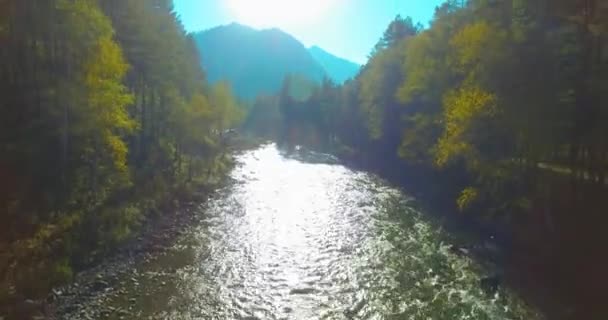 Vol à basse altitude au-dessus d'une rivière de montagne fraîche et rapide avec des rochers au soleil matin d'été. — Video