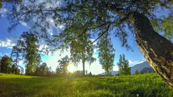 Mountain meadow time-lapse at the summer or autumn time. Wild nature and rural field. Motorised slider dolly movement. — Stock Video