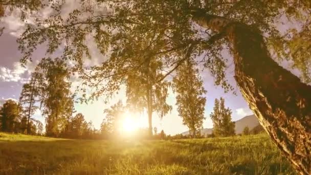 Mountain meadow time-lapse at the summer or autumn time. Wild nature and rural field. Motorised slider dolly movement. — Stock Video