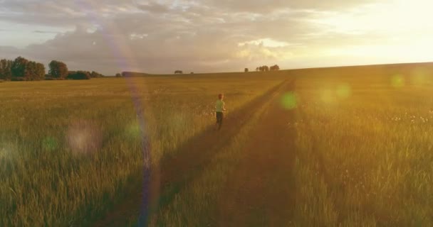 A criança desportiva atravessa um campo de trigo verde. Exercícios de treino desportivo nocturno no prado rural. Uma infância feliz é um modo de vida saudável. Movimento radial, raios de sol e grama. — Vídeo de Stock