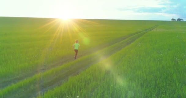 Sportief kind loopt door een groen tarweveld. Avond sport training oefeningen op het platteland weide. Een gelukkige jeugd is een gezonde manier van leven. Radiale beweging, zonnestralen en gras. — Stockvideo