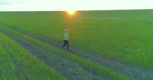 Sportief kind loopt door een groen tarweveld. Avond sport training oefeningen op het platteland weide. Een gelukkige jeugd is een gezonde manier van leven. Radiale beweging, zonnestralen en gras. — Stockvideo