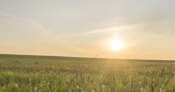 Timelapse de la prairie Hill en été ou en automne. Nature sauvage sans fin et champ rural. Rayons de soleil sur l'herbe verte. Mouvement de glissière de poupée motorisée