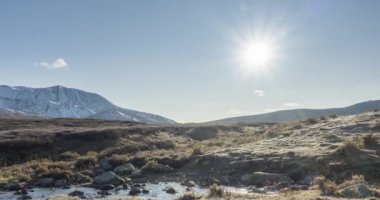 Yaz ya da sonbahar aylarında çayır zamanı. Vahşi doğa ve kırsal vadi. Güneş ışınları, küçük dere ve sarı otlar. Dolly kaydırma hareketi