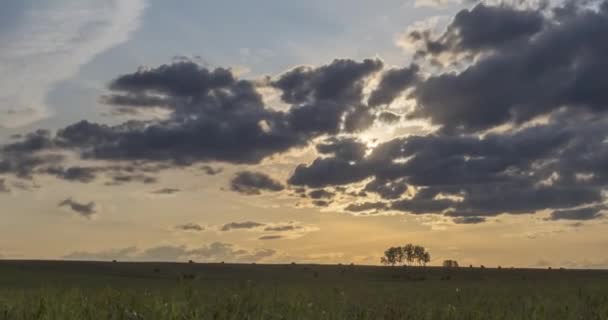 Επίπεδο λόφο λιβάδι timelapse κατά τη διάρκεια του καλοκαιριού ηλιοβασίλεμα. Άγρια φύση και αγροτικό πεδίο. Ηλιαχτίδες, δέντρα, πράσινο γρασίδι. Μηχανοκίνητος ολισθητήρας — Αρχείο Βίντεο