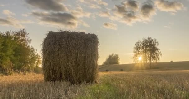 Piano collina prato timelapse all'ora del tramonto estivo. Natura selvaggia e pagliai rurali sul campo di erba. Raggi di sole e alberi verdi. Dispositivo di scorrimento carrello motorizzato — Video Stock