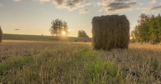 Piano collina prato timelapse all'ora del tramonto estivo. Natura selvaggia e pagliai rurali sul campo di erba. Raggi di sole e alberi verdi. Dispositivo di scorrimento carrello motorizzato — Video Stock