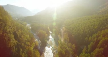 Güneşli yaz sabahında taze dağ nehri ve çayır üzerinde uçuşun ortasında. Aşağıdaki kırsal toprak yol.