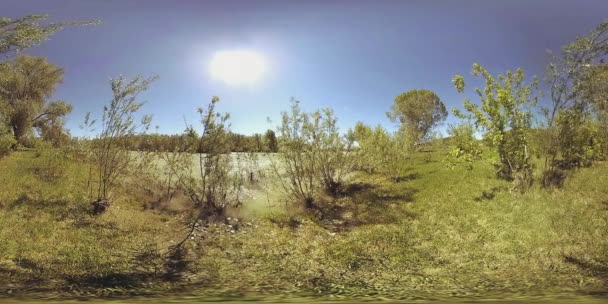 UHD 4K 360 VR La realidad virtual de un río fluye sobre rocas en un hermoso paisaje de bosque de montaña — Vídeos de Stock