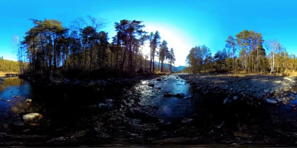 Vahşi dağların, çam ormanlarının ve nehir akışlarının 360 VR sanal gerçekliği. Ulusal park, çayır ve güneş ışınları. — Stok video