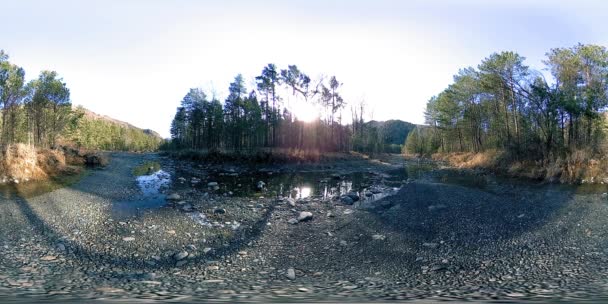 360野生の山、松林や川の流れのVR仮想現実。国立公園、牧草地、太陽光線. — ストック動画