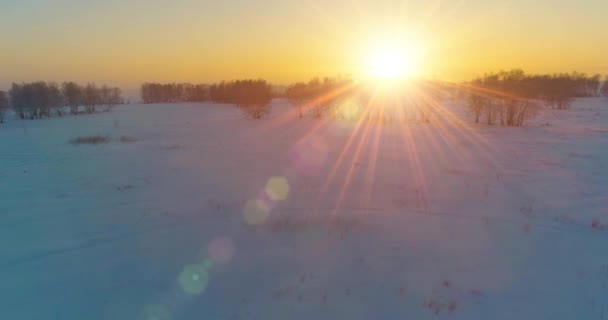 Vue aérienne par drone du paysage hivernal froid avec champ arctique, arbres couverts de neige verglaçante et rayons du soleil matinaux au-dessus de l'horizon. — Video