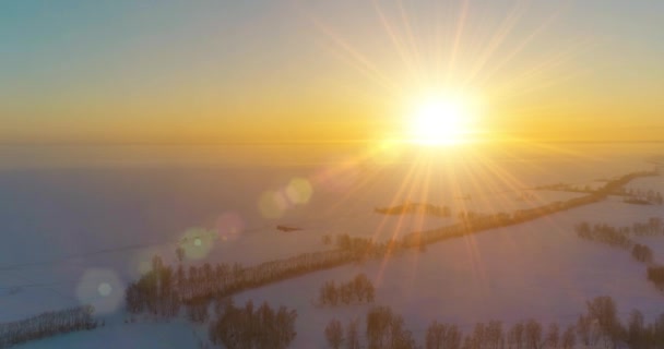 Vista aérea de drones del frío paisaje invernal con campo ártico, árboles cubiertos de nieve helada y rayos de sol matutinos sobre el horizonte. — Vídeos de Stock