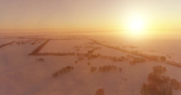 Vue aérienne par drone du paysage hivernal froid avec champ arctique, arbres couverts de neige verglaçante et rayons du soleil matinaux au-dessus de l'horizon. — Video