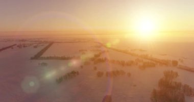 Arktik çayırlı soğuk kış manzarası, karla kaplı ağaçlar ve ufukta sabah güneşleri..