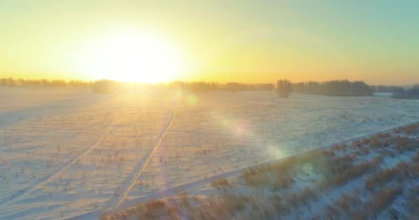 Vista aérea de drones del frío paisaje invernal con campo ártico, árboles cubiertos de nieve helada y rayos de sol matutinos sobre el horizonte. — Vídeo de stock