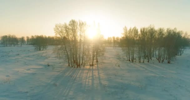 Повітряний безпілотник вид на холодний зимовий пейзаж з арктичним полем, дерева, покриті морозним снігом і ранковими променями сонця над горизонтом . — стокове відео