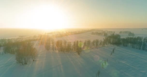 北極のフィールドと寒い冬の風景の空中ドローンビュー、水平線上に霜雪と朝の太陽光線で覆われた木. — ストック動画