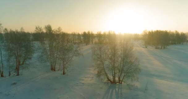 Luchtfoto drone uitzicht op koud winterlandschap met poolveld, bomen bedekt met vorst sneeuw en ochtendzon stralen over horizon. — Stockvideo