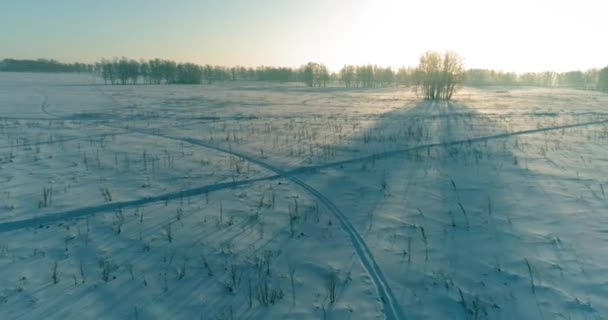 Flygdrönare syn på kallt vinterlandskap med arktiska fält, träd täckta med frost snö och morgonsol strålar över horisonten. — Stockvideo