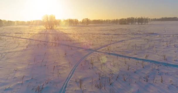 Воздушный беспилотник с видом на холодный зимний пейзаж с арктическим полем, деревья, покрытые морозным снегом и утренние солнечные лучи над горизонтом. — стоковое видео