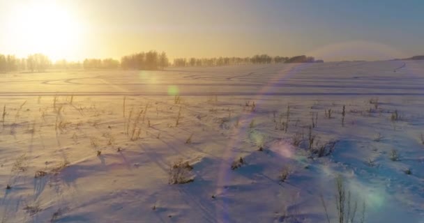आर्कटिक क्षेत्र के साथ शीतकालीन परिदृश्य का हवाई ड्रोन दृश्य, क्षितिज पर ठंडे बर्फ और सुबह की सूर्य की किरणों से ढके हुए पेड़ . — स्टॉक वीडियो