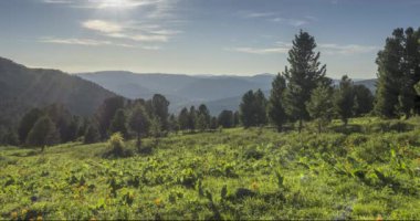 Dağ çayırı zamanı. Vahşi doğa ve kırsal alan. Bulutlar, ağaçlar, yeşil çimenler ve güneş ışınları hareketi. Kamera hareketi.