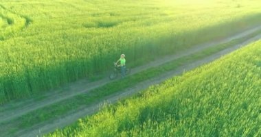 Kırsal yoldaki bir çim tarlasında bisiklet süren genç bir çocuğun hava manzarası. Güneş ışığı ve ışınlar.