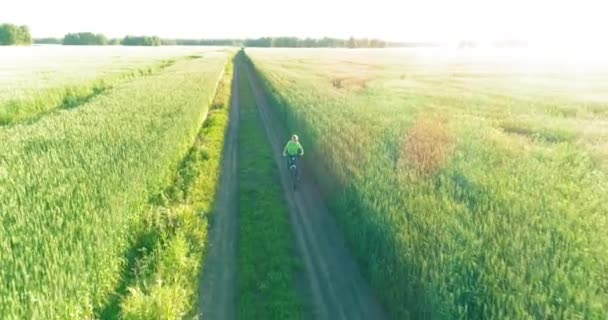 Vista aérea sobre el niño, que monta en bicicleta a través de un campo de hierba de trigo en el viejo camino rural. Luz solar y rayos. — Vídeos de Stock