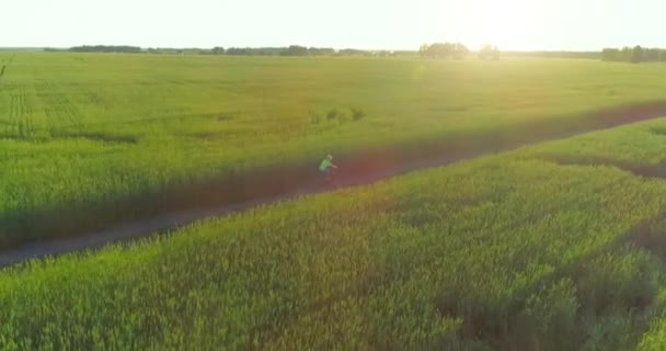 Vista aérea sobre o menino, que monta uma bicicleta através de um campo de grama de trigo na antiga estrada rural. Luz solar e vigas. — Vídeo de Stock