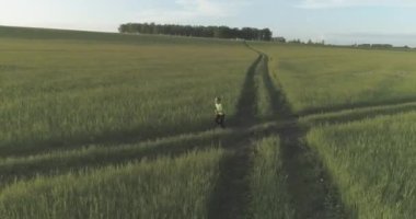 Sportif çocuk yeşil buğday tarlasında koşuyor. Kırsal çayırlarda akşam sporu alıştırmaları. Mutlu bir çocukluk sağlıklı bir yaşam biçimidir. Radikal hareket, güneş ışınları ve ot.