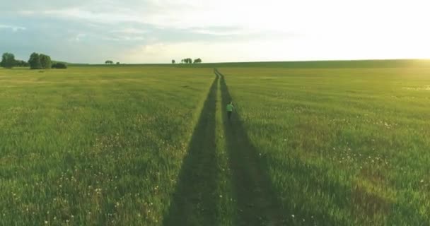 Un enfant sportif court dans un champ de blé vert. Exercices d'entraînement sportif en soirée dans un pré rural. Une enfance heureuse est un mode de vie sain. Mouvement radial, rayons du soleil et herbe.