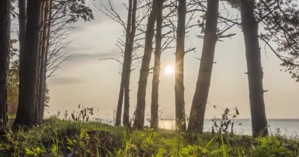 Timelapse bosque salvaje lago en la hora de verano. Naturaleza salvaje y prado rural. Bosque verde de pinos, rayos de sol y nubes sobre el mar. Movimiento deslizante de dolly motorizado — Vídeos de Stock