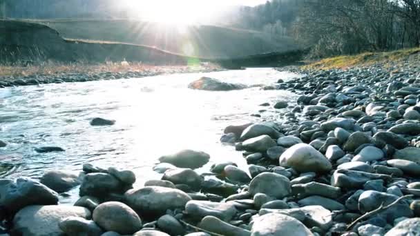 Dolly deslizador de tiro de las salpicaduras de agua en un río de montaña cerca del bosque. Rocas húmedas y rayos de sol. Movimiento horizontal constante. — Vídeos de Stock