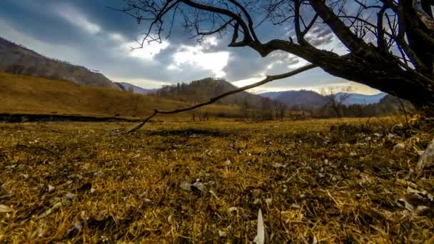 时光流逝的死亡树和枯黄的青草在高山的风景与云彩和阳光。水平滑块运动 — 图库视频影像