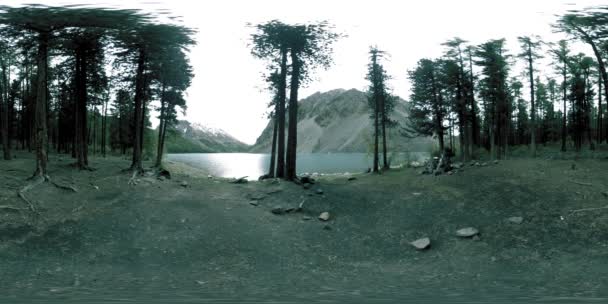 Lac de montagne 360 vr en été ou en automne. Nature sauvage et vallée de montagne rurale. Forêt verte de pins et nuages rapides sur le ciel. — Video