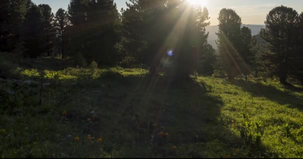 Хронология горного луга. Дикая природа и сельское поле. Облака, деревья, зеленая трава и солнечные лучи движения. Движение камеры. — стоковое видео