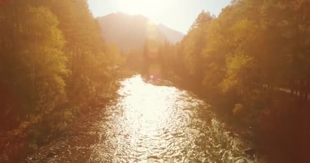 日当たりの良い夏の朝に岩と新鮮な速い山の川の上の低高度飛行. — ストック動画