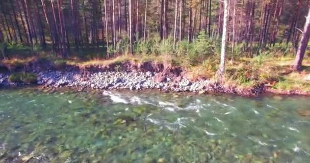 Laaggelegen vlucht over verse snelle bergrivier met rotsen op zonnige zomerochtend. — Stockvideo