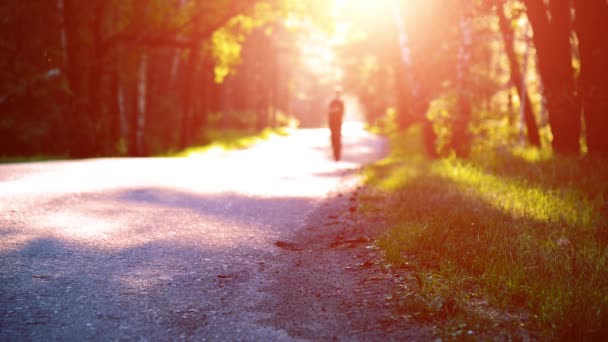 Deportivo corriendo en la carretera de asfalto. Parque rural de la ciudad. Bosque de árboles verdes y rayos de sol en el horizonte. — Vídeo de stock