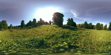 UHD 4K 360 VR yeşil dağ ormanı. Güneş ışığı ve gölge, çimen ve çam ağaçları.