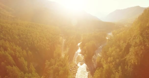 Vuelo de baja altitud sobre el río fresco de montaña rápida con rocas en la soleada mañana de verano. — Vídeo de stock
