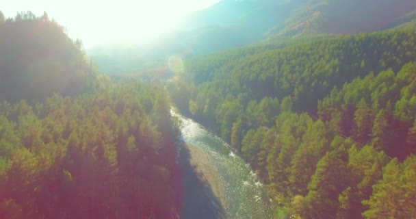 Vol à basse altitude au-dessus d'une rivière de montagne fraîche et rapide avec des rochers au soleil matin d'été. — Video